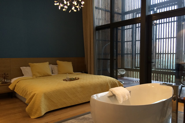 One Room Villa Meijie Mountain Hotspring Resort